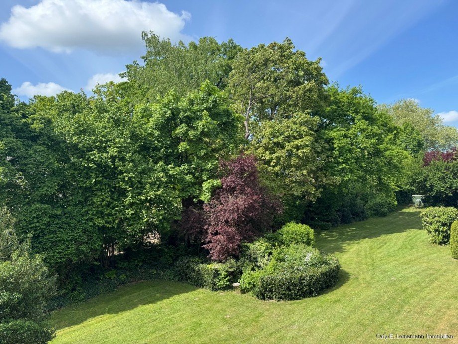 Ausblick von der Loggia Wohnzimmer Etagenwohnung Burgwedel / Gro�burgwedel