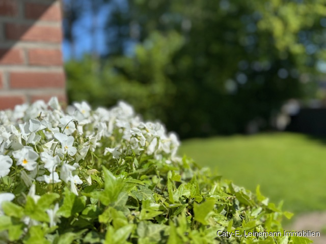  Mehrfamilienhaus Burgwedel / Gro�burgwedel