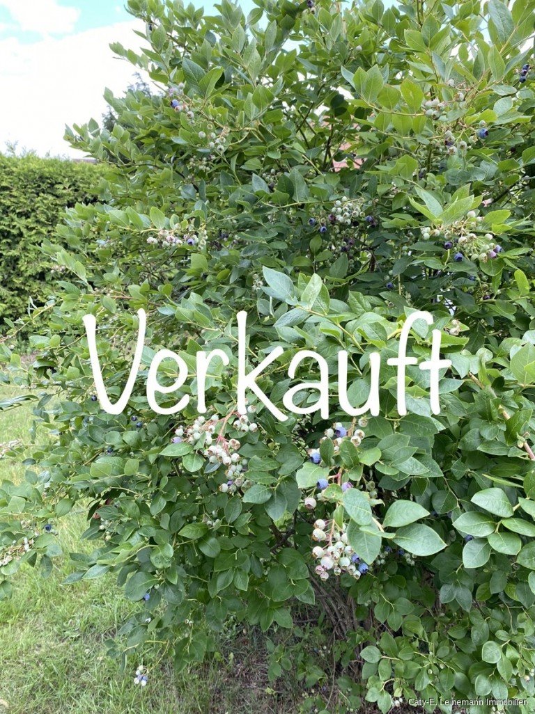 IMG_1554 Burgwedel Einfamilienhaus Einfamilienhaus mit charmantem und gro�z�gigem Garten in Burgwedel-Fuhrberg Provisionsfrei f�r den K�ufer