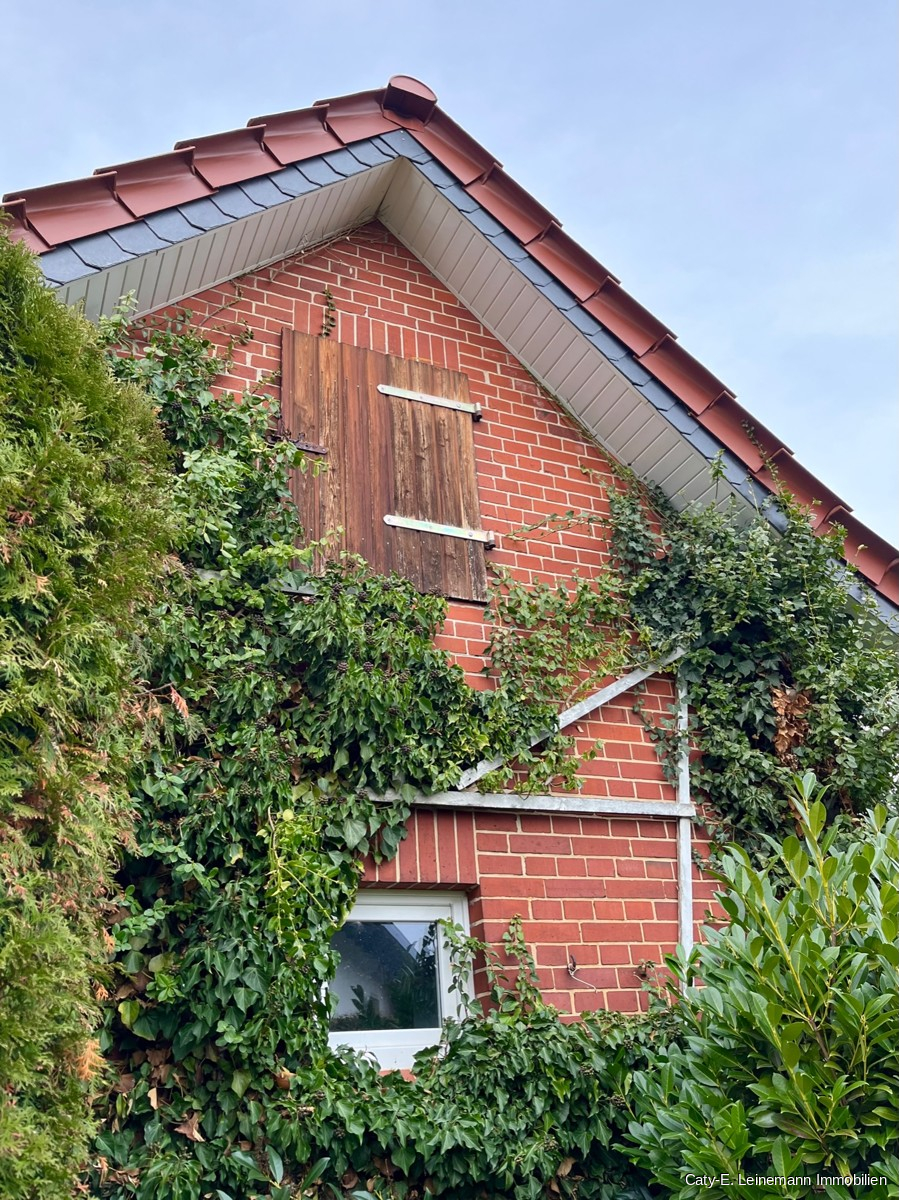Anbau Villa Celle/ Nienhagen
