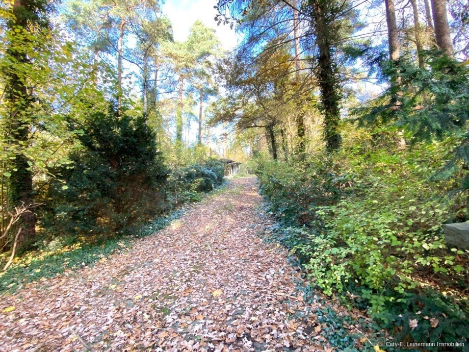 Zufahrt Einfamilienhaus Wedemark / Bissendorf