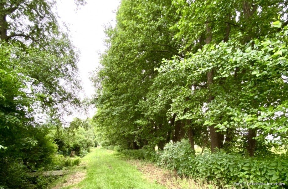 Titelbild Reihenendhaus Burgwedel / Kleinburgwedel