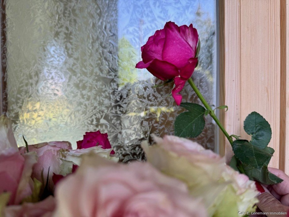 Geschliffenes Glas in der Hauseingangst�r Einfamilienhaus Uetze / H�nigsen