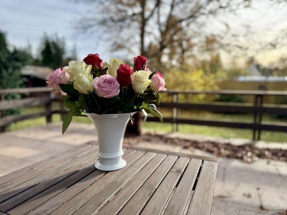  Einfamilienhaus Burgwedel / Th�nse