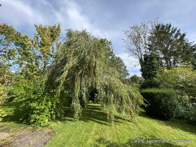 Garten Einfamilienhaus Lauenau
