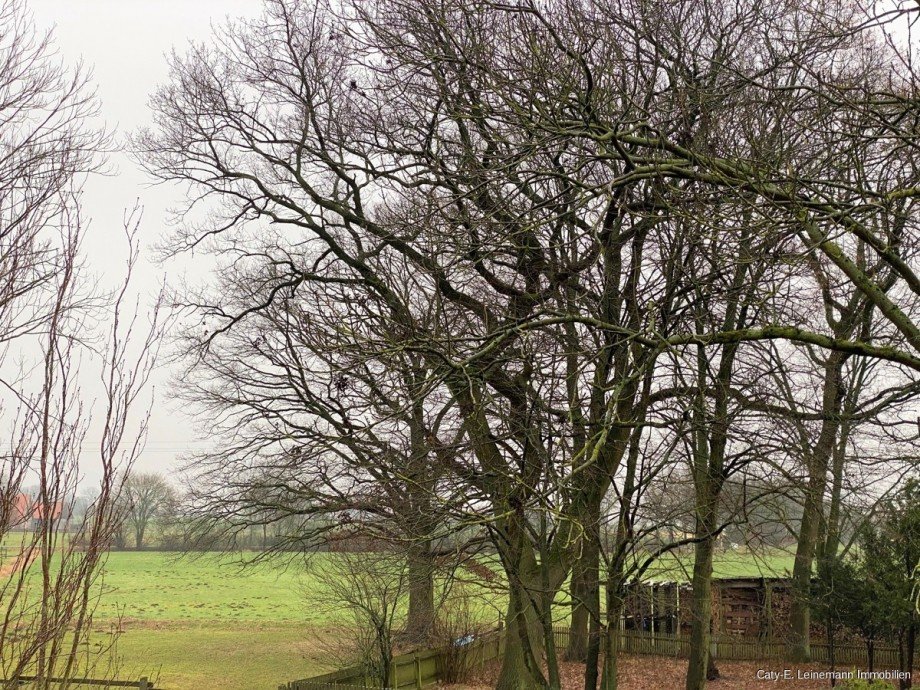 Ausblick OG Einfamilienhaus Wittingen