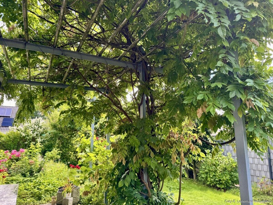 Impression Terrasse Einfamilienhaus Garbsen / Berenbostel