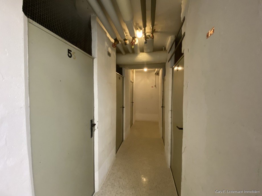Zugang Kellerraum Etagenwohnung Hannover / Bothfeld