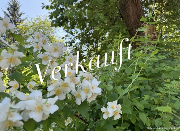 DC69AD67-CF6D-4777-8DC4-04DBFA18070D.jpg Burgwedel / Gro�burgwedel Wohngrundst�ck Grundst�cke - Gro�burgwedel - ruhige, dennoch zentrale Lage N�he Amtspark - 1.621m�