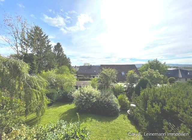 Aussicht1 Einfamilienhaus Lauenau
