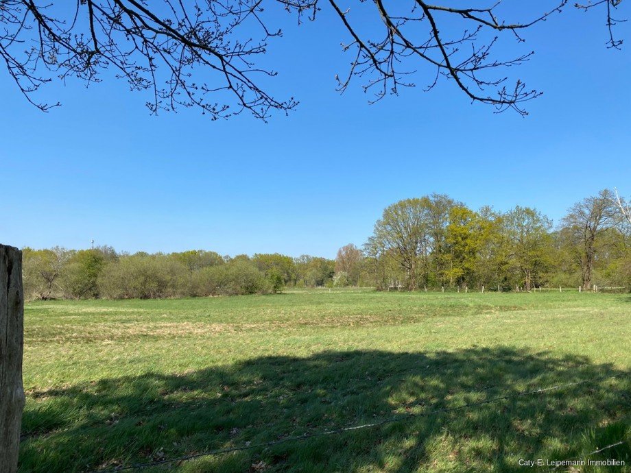 Blick in die Feldmark Erdgeschosswohnung Burgwedel / Gro�burgwedel