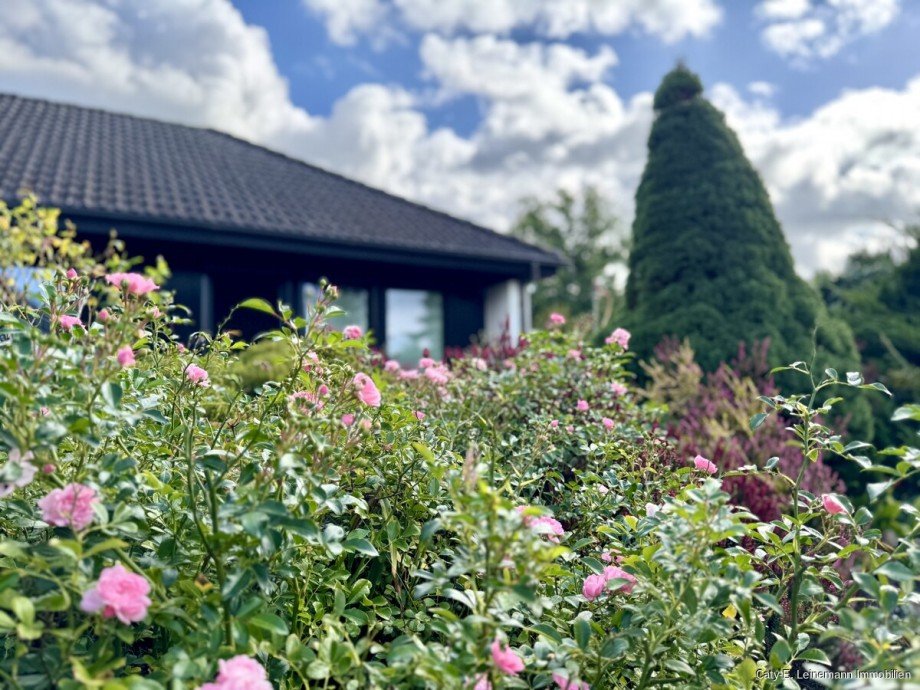 Gartenimpression Bungalow Burgwedel / Wettmar