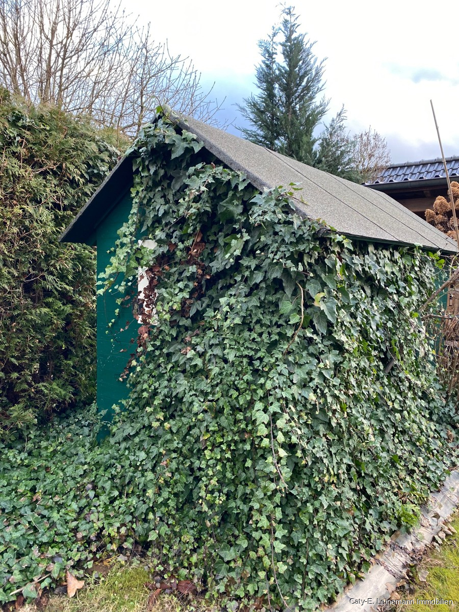 Garten Kinderhaus Villa Celle/ Nienhagen