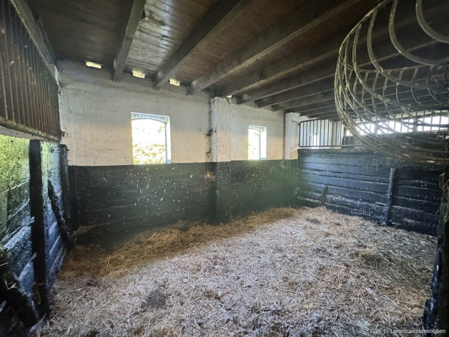 Stallgeb�ude Box Haus Isernhagen / Hohenhorster Bauerschaft